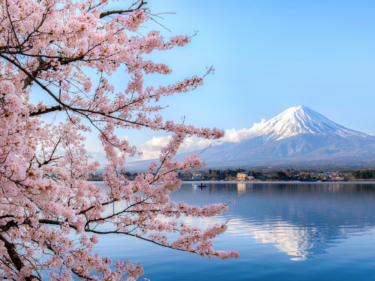 Japan Photo