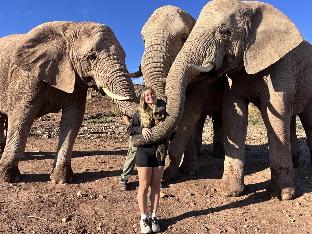 Ariventures Abroad Intern Olivia in South Africa with elephants