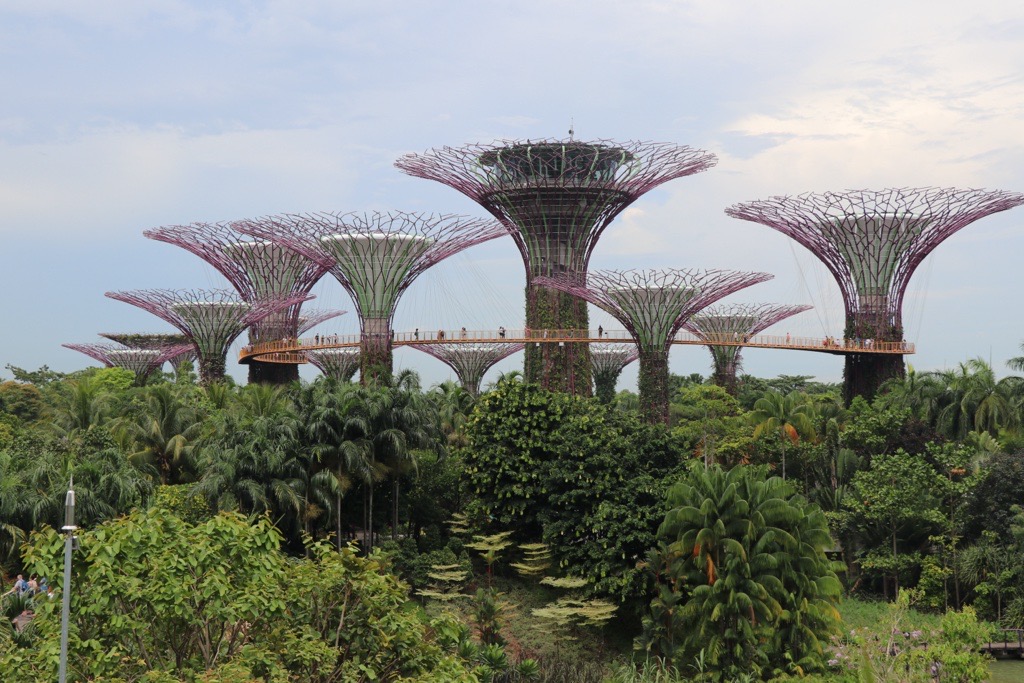 Gardens by the Bay Singapore