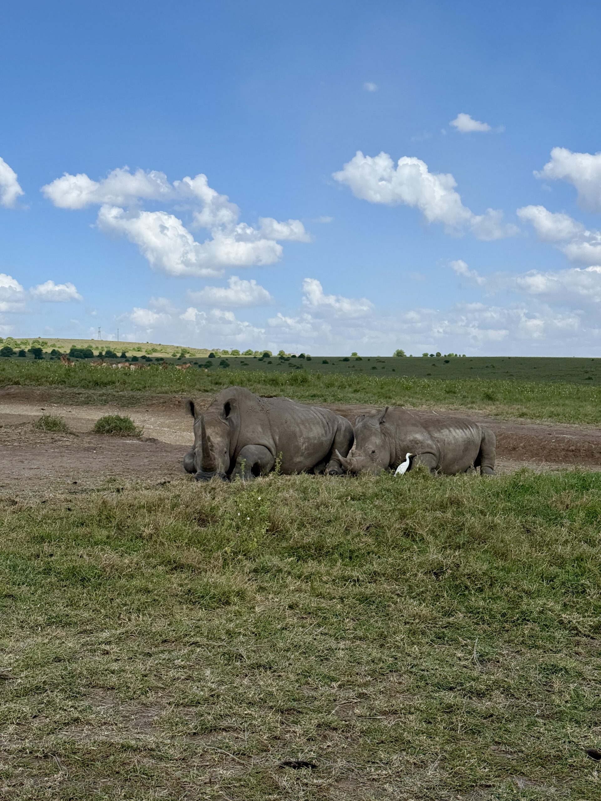 Kenya
